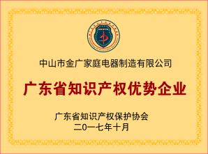 Intellectual property advantage